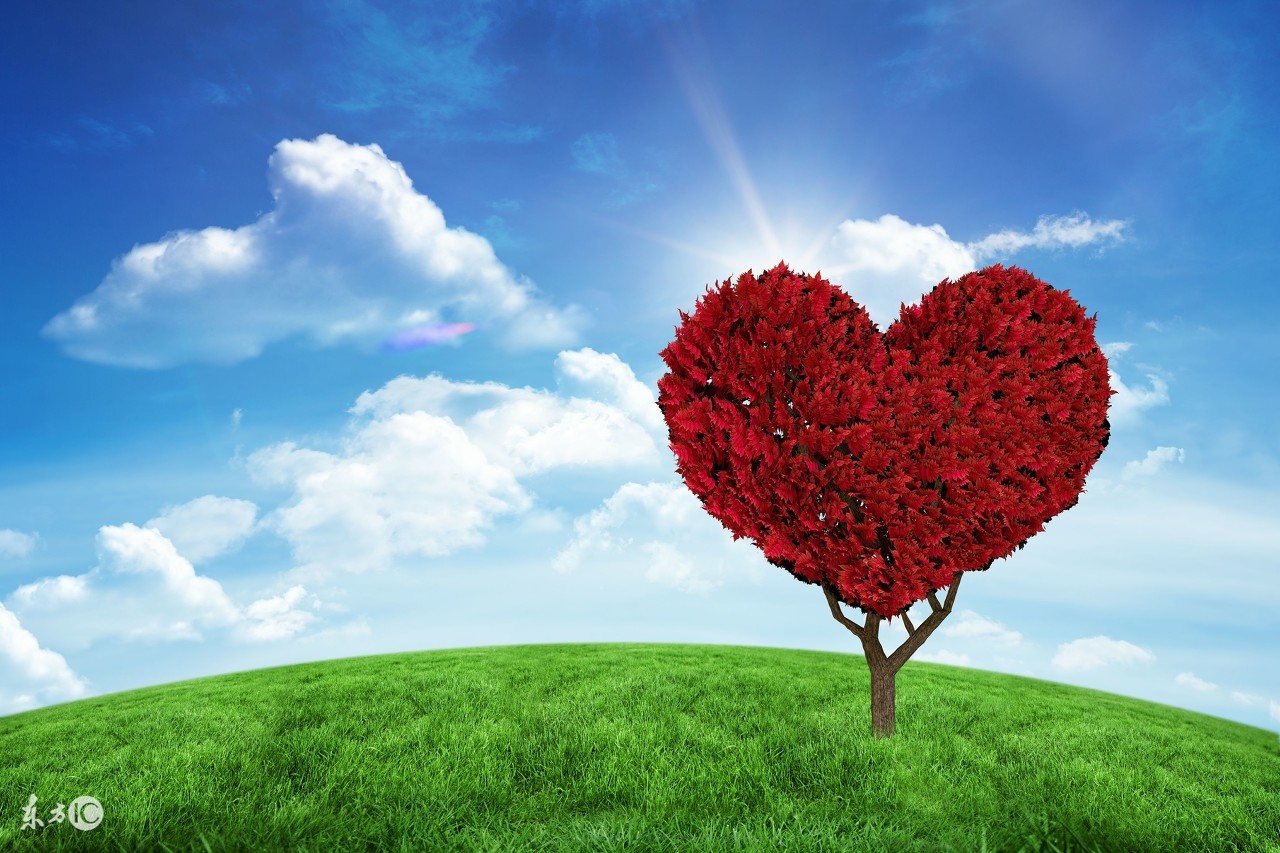 晚上睡觉手麻是什么原因和征兆,晚上睡觉手麻是怎么回事如何治愈