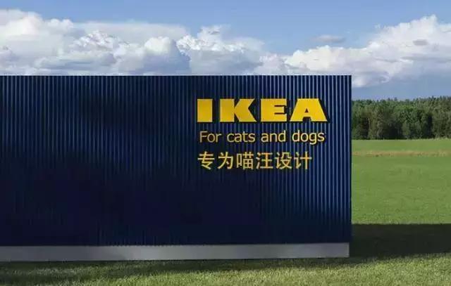 日本代购热销产品,日本代购哪些产品畅销