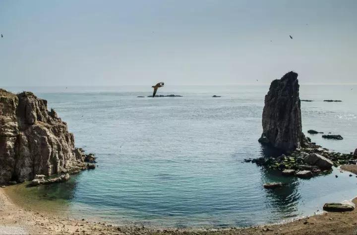 被遗忘的岛屿与世隔绝18000年,被遗忘的海岛完整