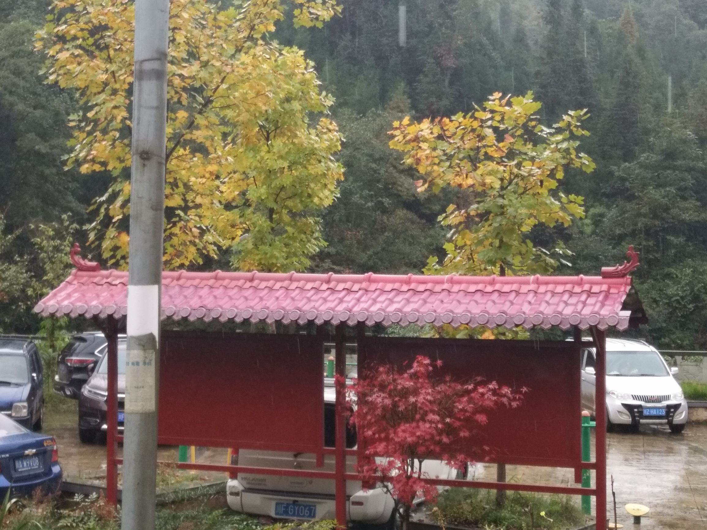 德阳红枫岭旅游,德阳市什邡市红枫岭景区