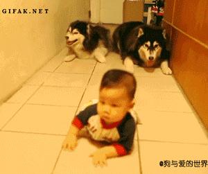 轻投资持续盈利行业,轻资产创业深度解析