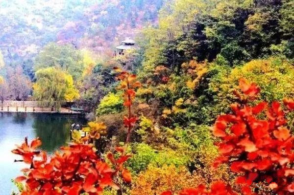 登龙山红叶图片大全,登高山顶赏风景