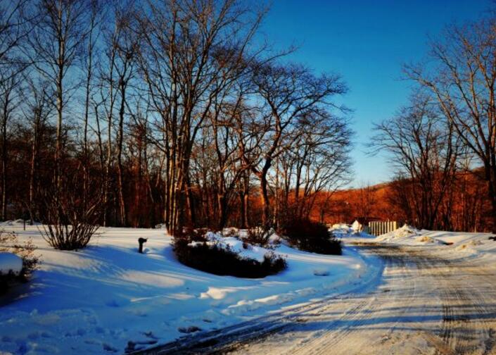 想晋升一把手说了算,问领导想晋升还需要哪些努力