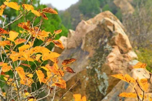 昌平公园的风景,北京昌平滨河免费公园