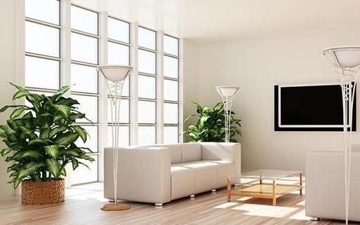 新装修好的房子需要买哪些必需品,新装修的房子卧室放什么植物最好