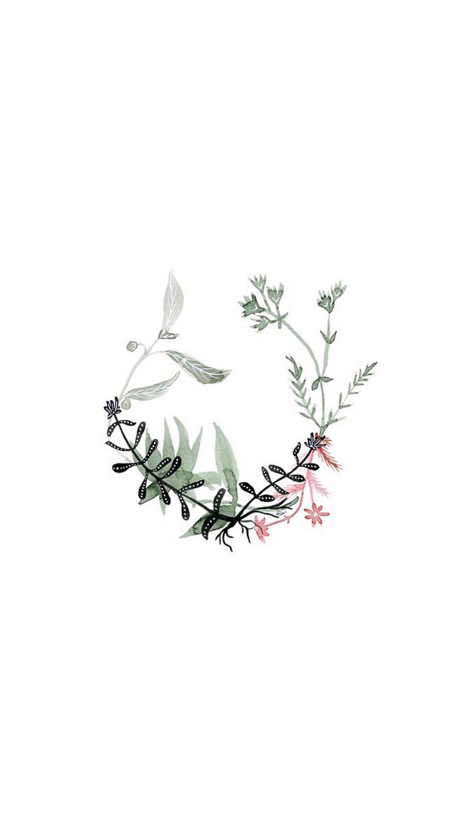 彩铅初学者用什么工具好,彩铅入门需要什么工具