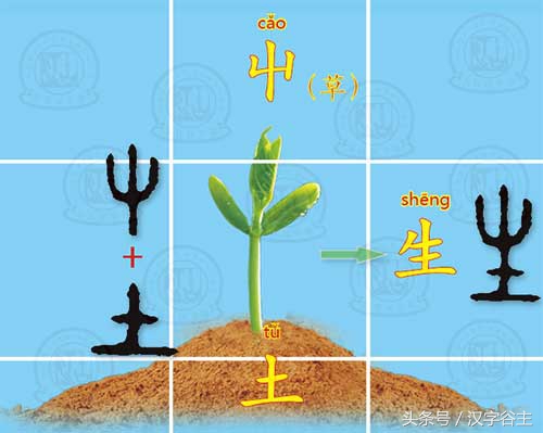 如何快速识字最好的方法幼儿园,什么方法让幼儿快速识字