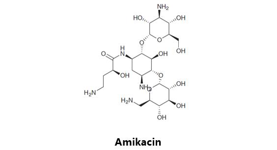 肺结核病的药物研究综述,肺结核的新药研发进展