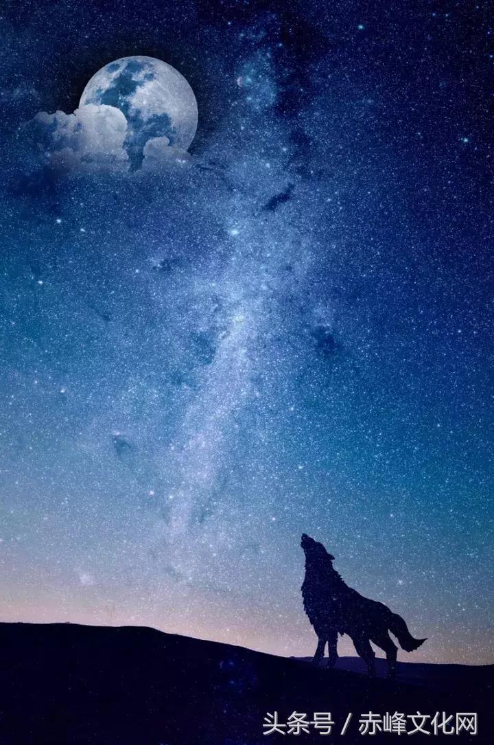 枯草霜花白寒窗月影是什么意思,枯草霜花白寒窗月影新的意思