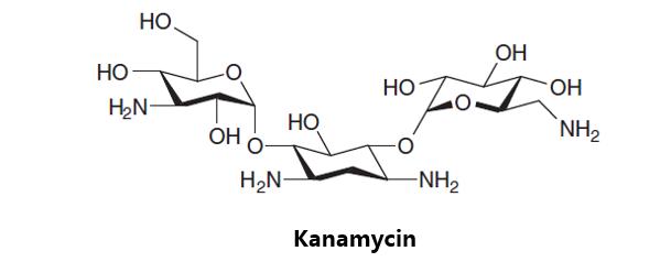 肺结核病的药物研究综述,肺结核的新药研发进展