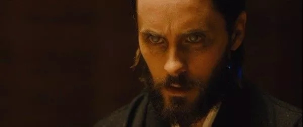 避雷针观影,避雷针电影观看