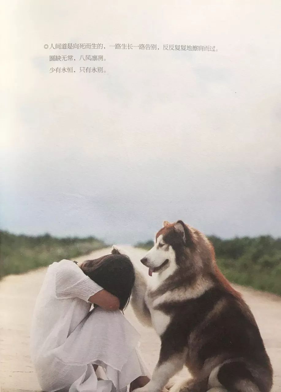 大冰畅销书排行第几,大冰畅销书和谁齐名