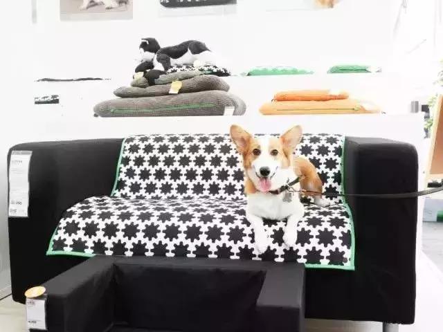 日本代购热销产品,日本代购哪些产品畅销