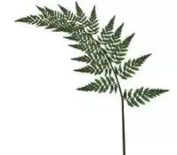 迪丽热巴用过的化妆品,迪丽热巴使用的化妆品