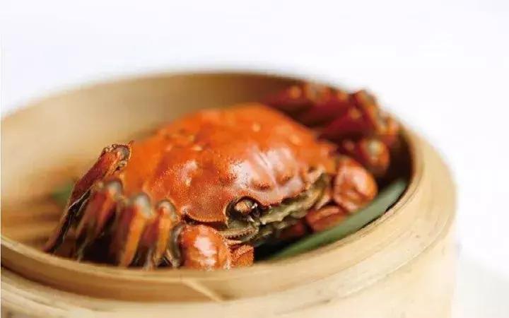 被遗忘的岛屿与世隔绝18000年,被遗忘的海岛完整