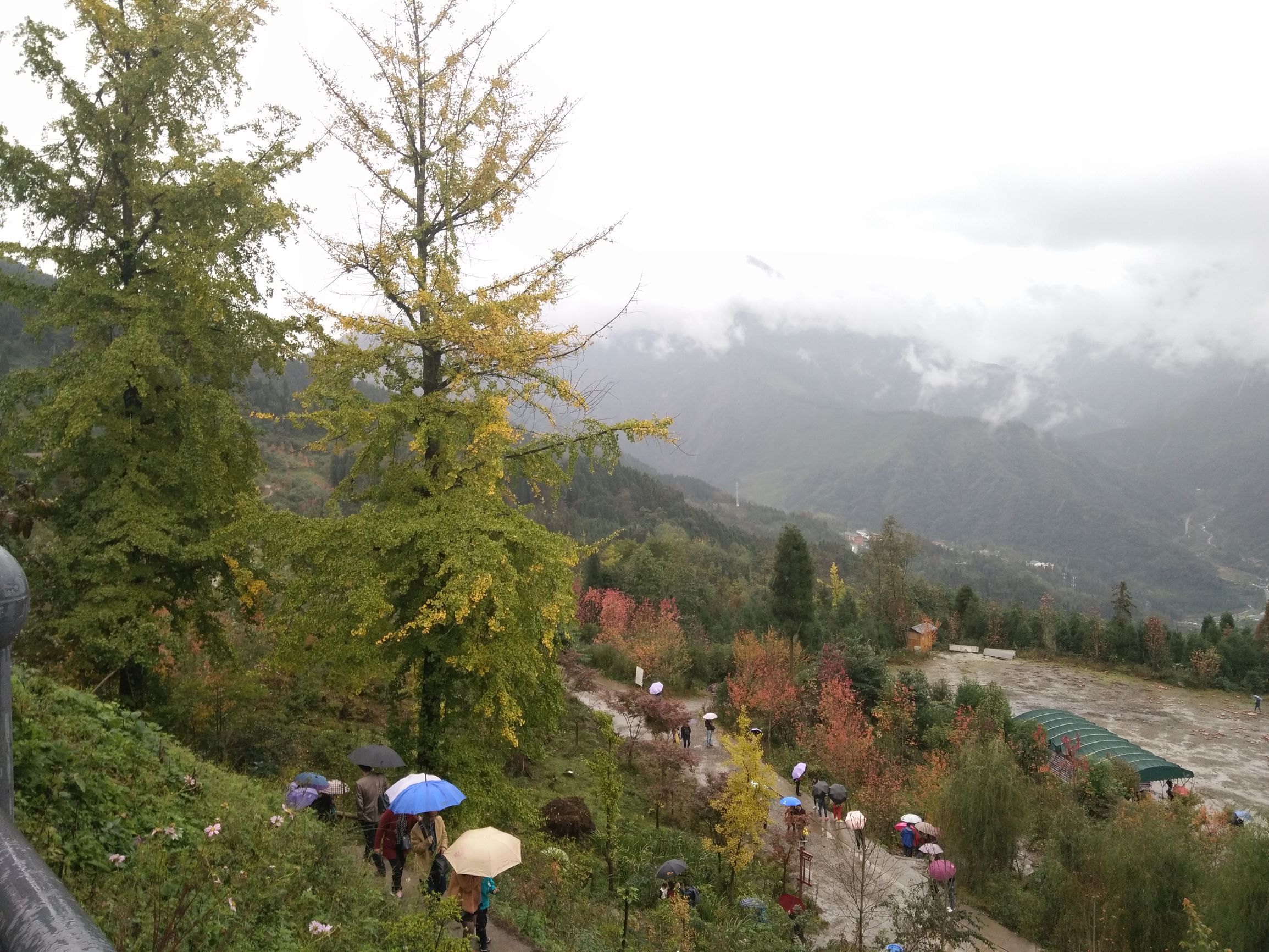 德阳红枫岭旅游,德阳市什邡市红枫岭景区