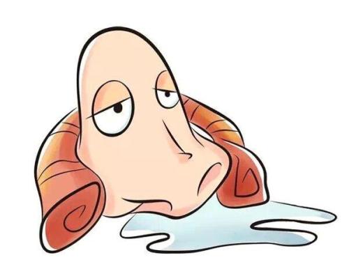 你在等着秋季的结束？秋意过后，过敏性鼻炎不再？它可以自愈吗？