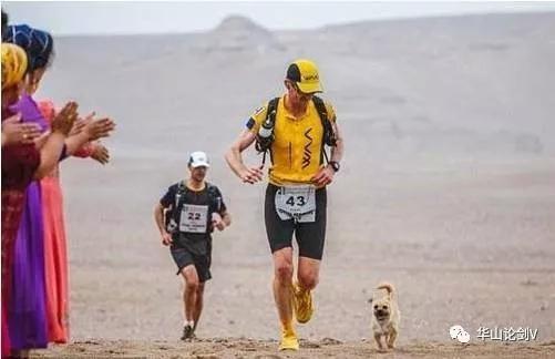 都知道体育营销，但这么会玩的车企只此一家！