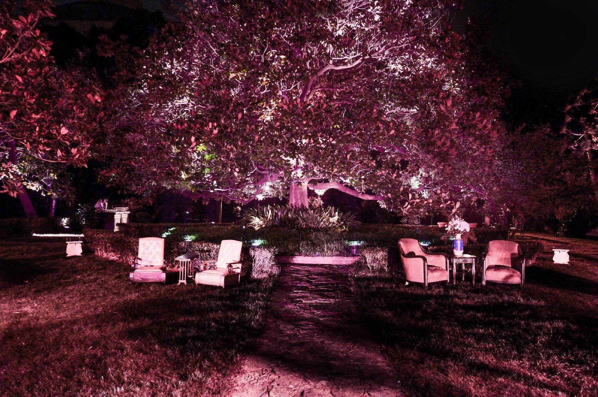 gucci最新款倪妮广告款,倪妮代言gucci穿搭