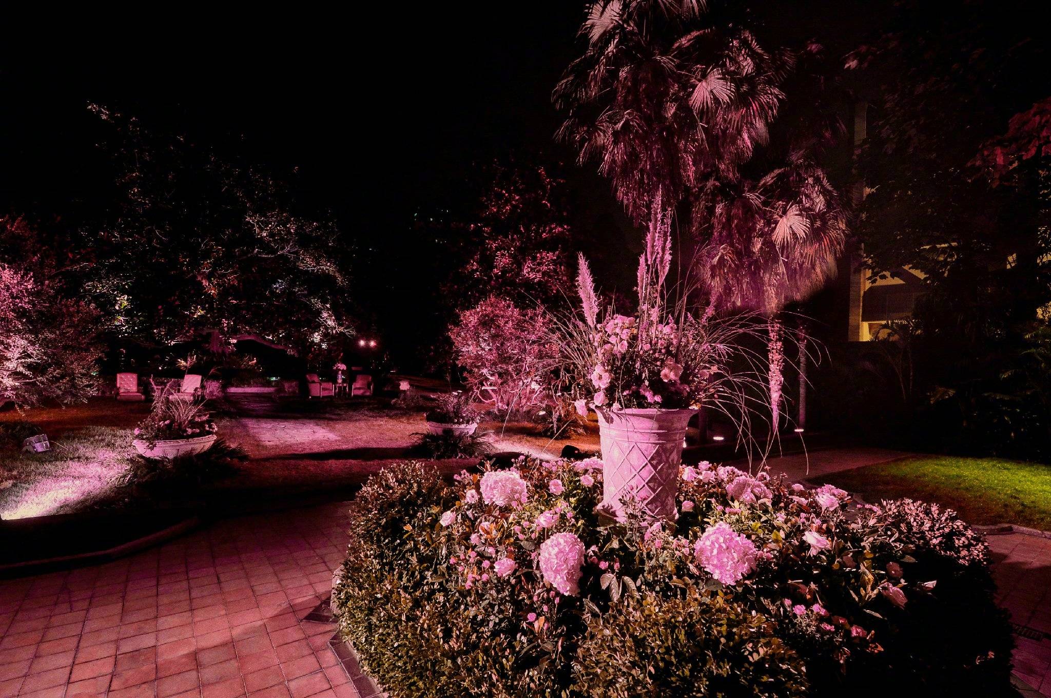 gucci最新款倪妮广告款,倪妮代言gucci穿搭