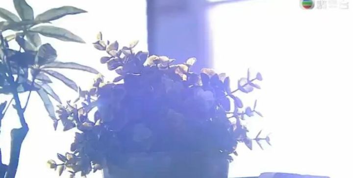 比《使徒行者2》更有港味!这部剧简直就是满满的回忆