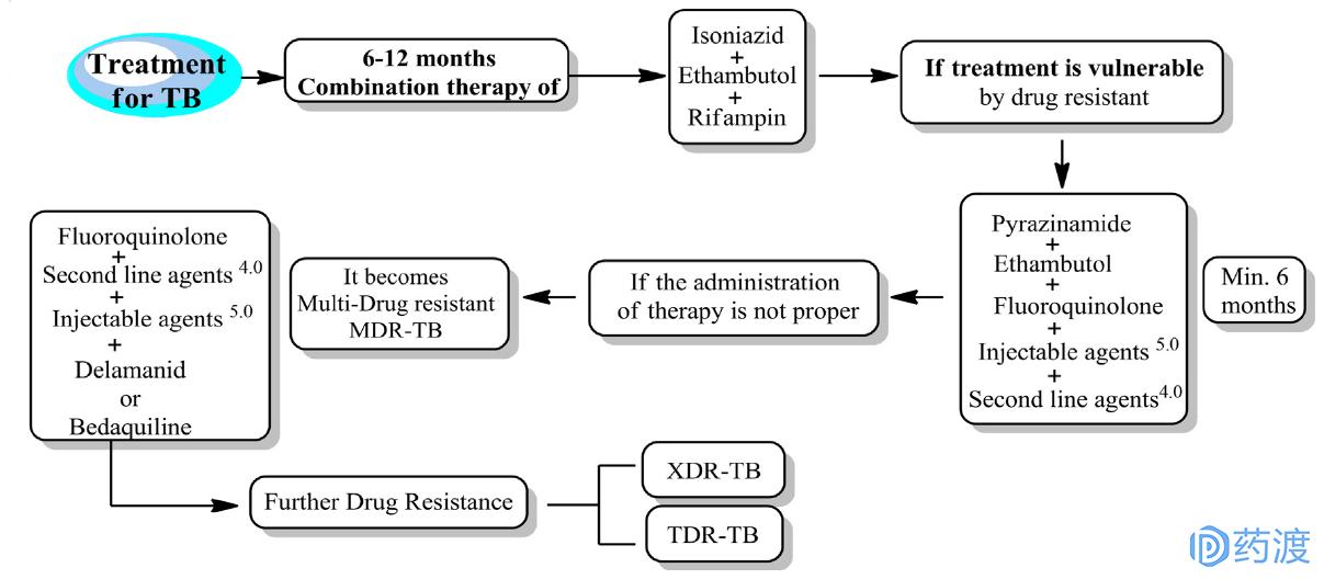 肺结核病的药物研究综述,肺结核的新药研发进展
