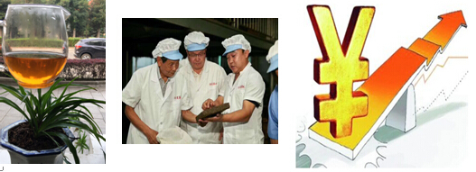 白沙溪9101青砖茶怎么样,中茶9101青砖茶值得收藏吗