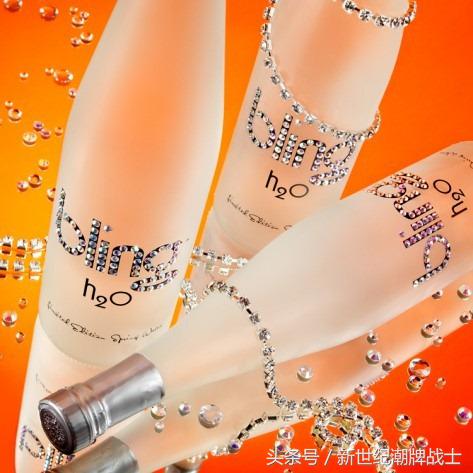 世界上最贵的矿泉水值多少钱,全球最贵的矿泉水一瓶就是一套房