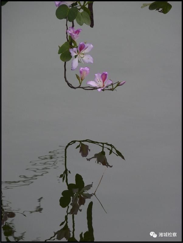 独坐幽篁里dj,独坐幽篁里全文