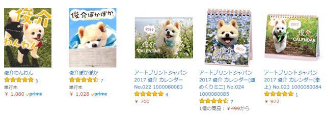 日本网红俊介犬,日本网红柴犬俊介