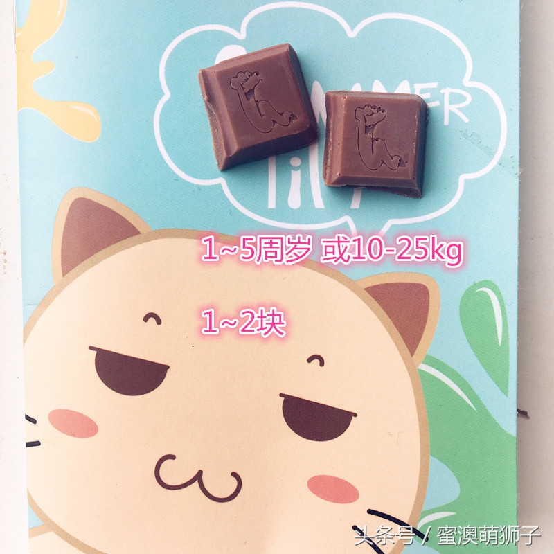 澳洲巧克力安全吗,澳洲巧克力注意事项