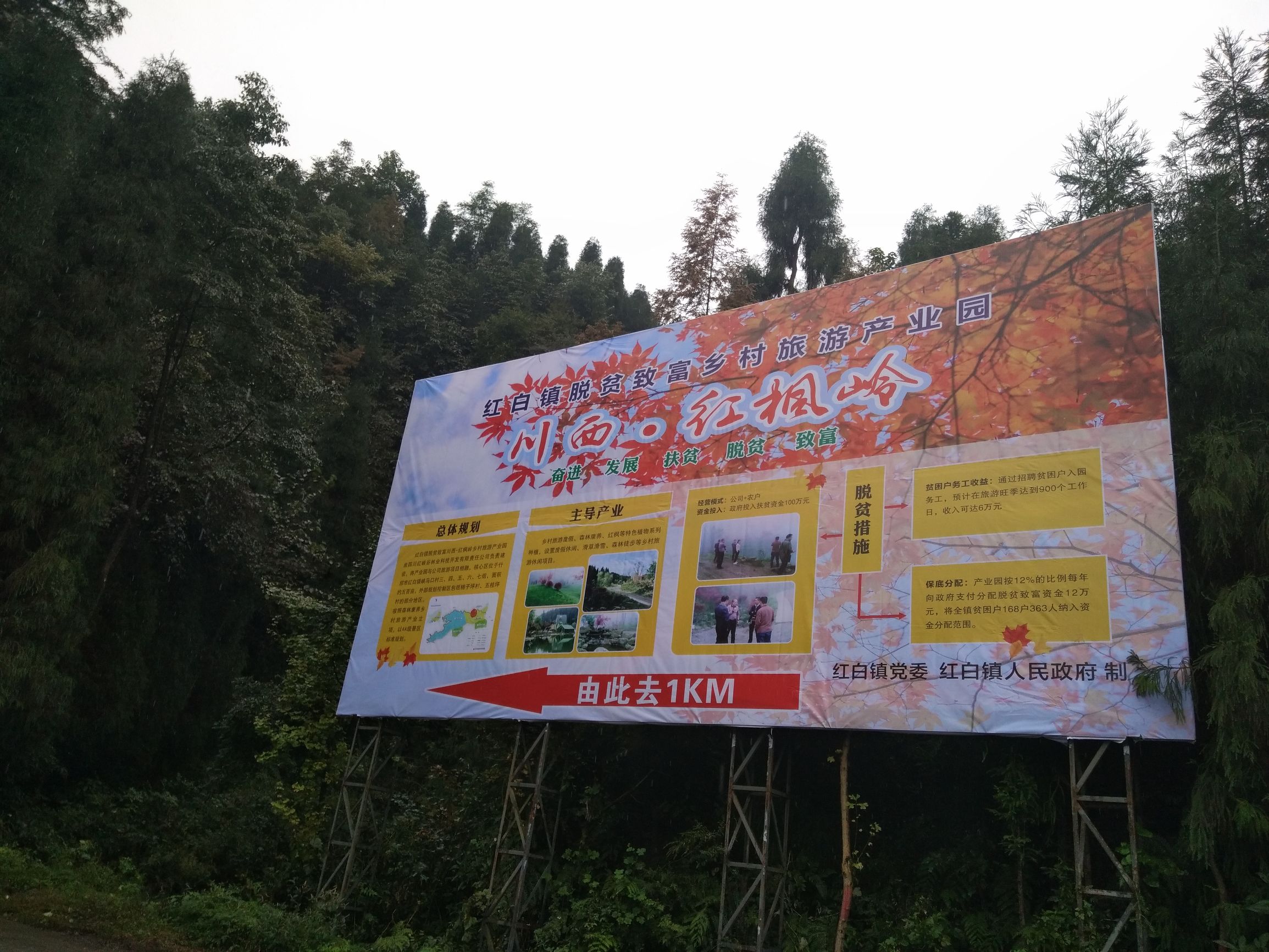 德阳红枫岭旅游,德阳市什邡市红枫岭景区