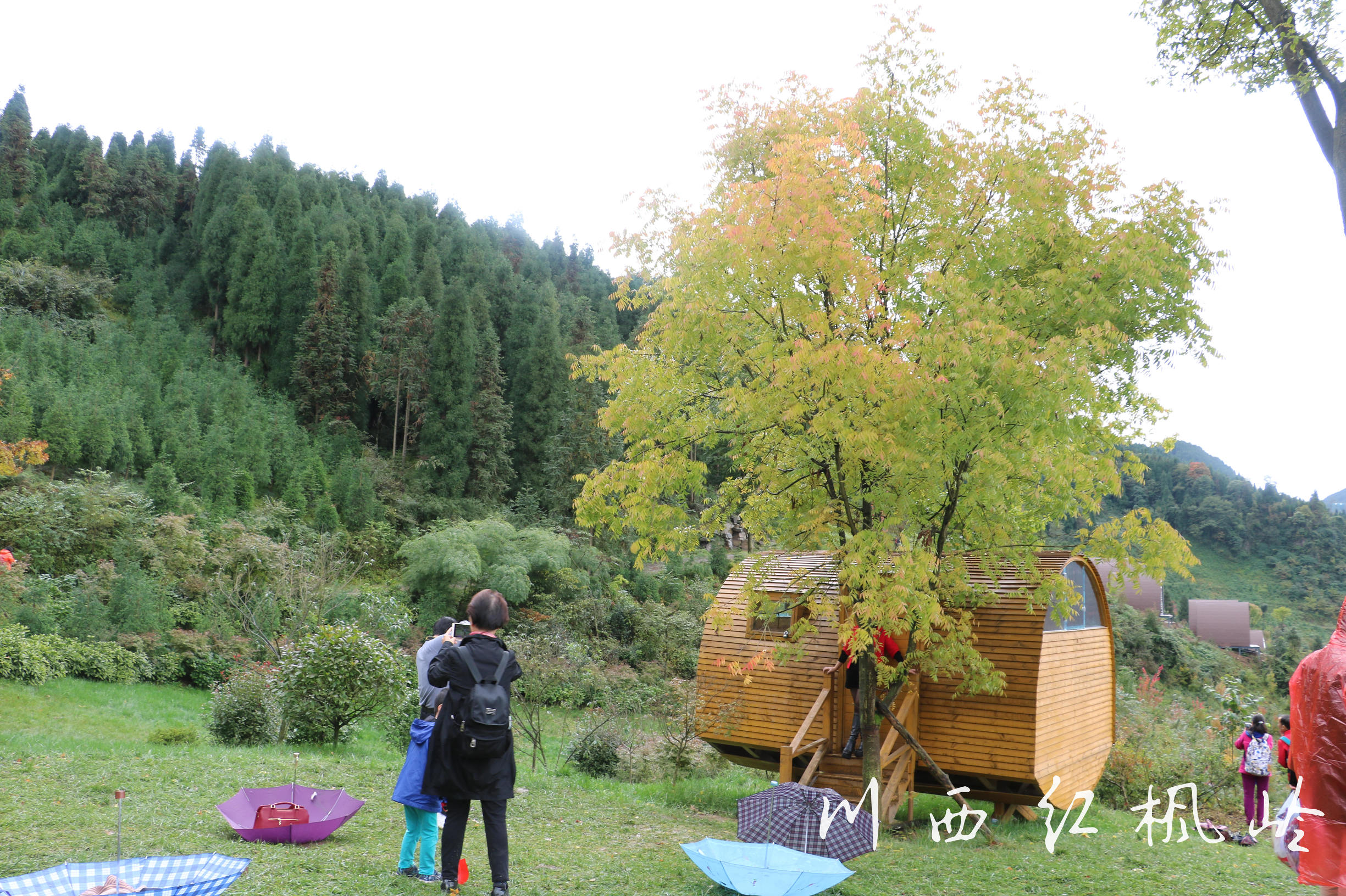 德阳红枫岭旅游,德阳市什邡市红枫岭景区