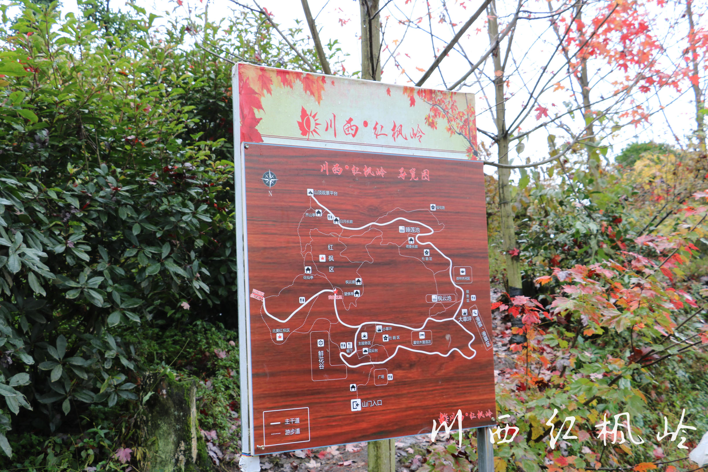 德阳红枫岭旅游,德阳市什邡市红枫岭景区