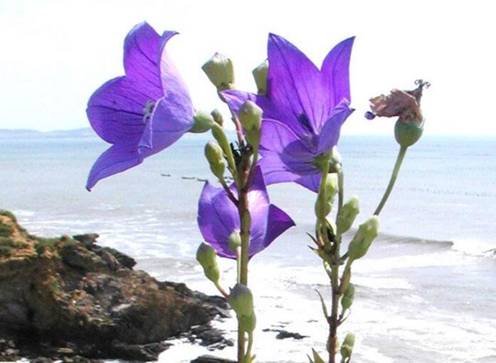 想晋升一把手说了算,问领导想晋升还需要哪些努力