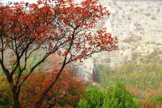 昌平公园的风景,北京昌平滨河免费公园