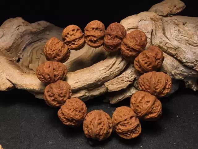 三种常见的核桃串,野生小核桃串什么样的好