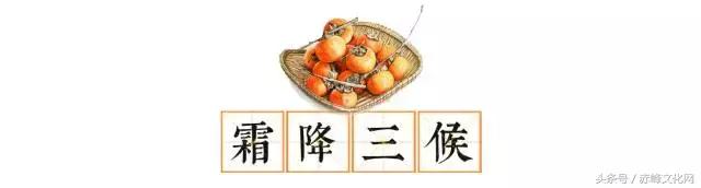 枯草霜花白寒窗月影是什么意思,枯草霜花白寒窗月影新的意思