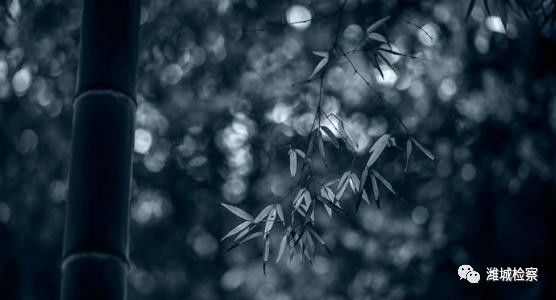 独坐幽篁里dj,独坐幽篁里全文