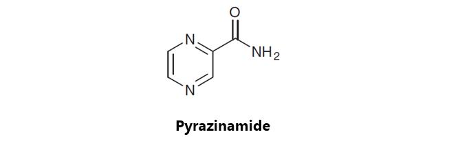 肺结核病的药物研究综述,肺结核的新药研发进展