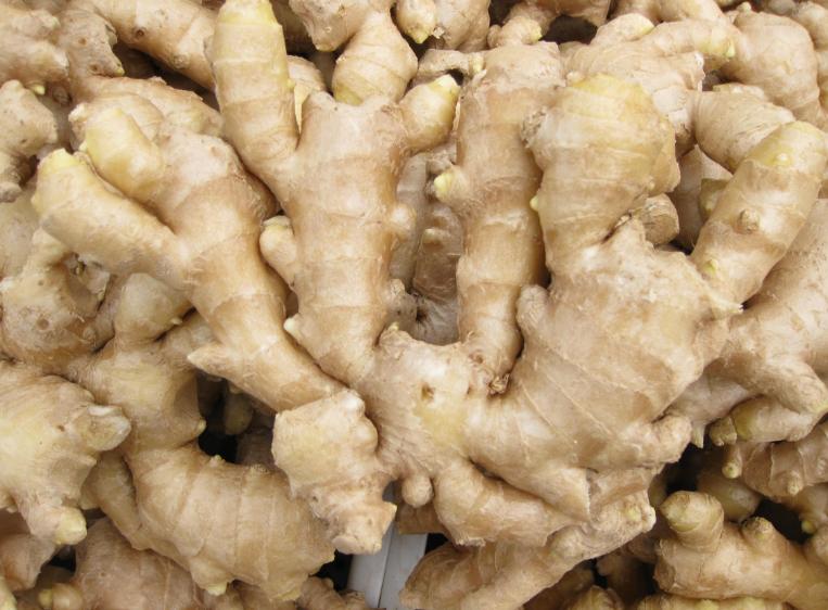 教会你如何采收生姜,生姜在采收的过程中应该注意什么