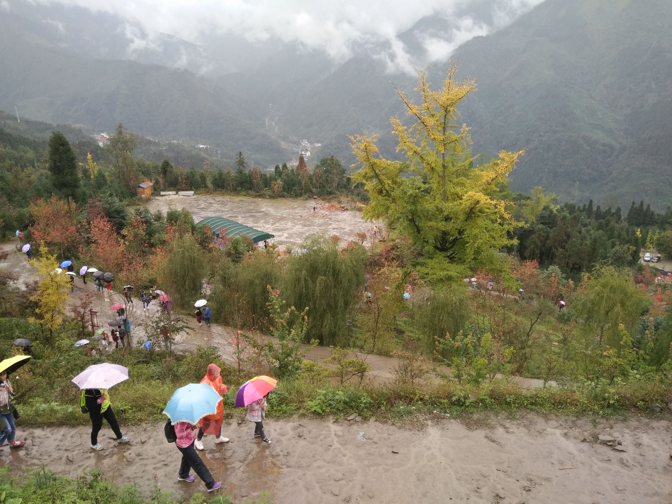 德阳红枫岭旅游,德阳市什邡市红枫岭景区