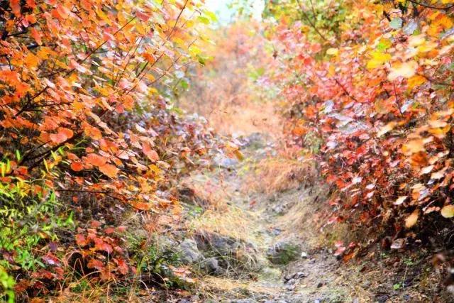 昌平公园的风景,北京昌平滨河免费公园