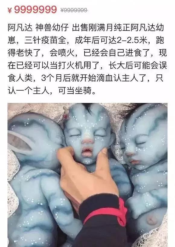 闲鱼上的奇葩东西整理,闲鱼上的那些不可思议的东西