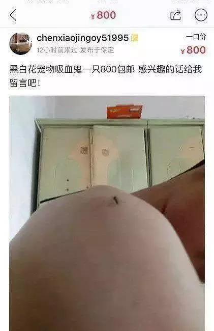 闲鱼上的奇葩东西整理,闲鱼上的那些不可思议的东西