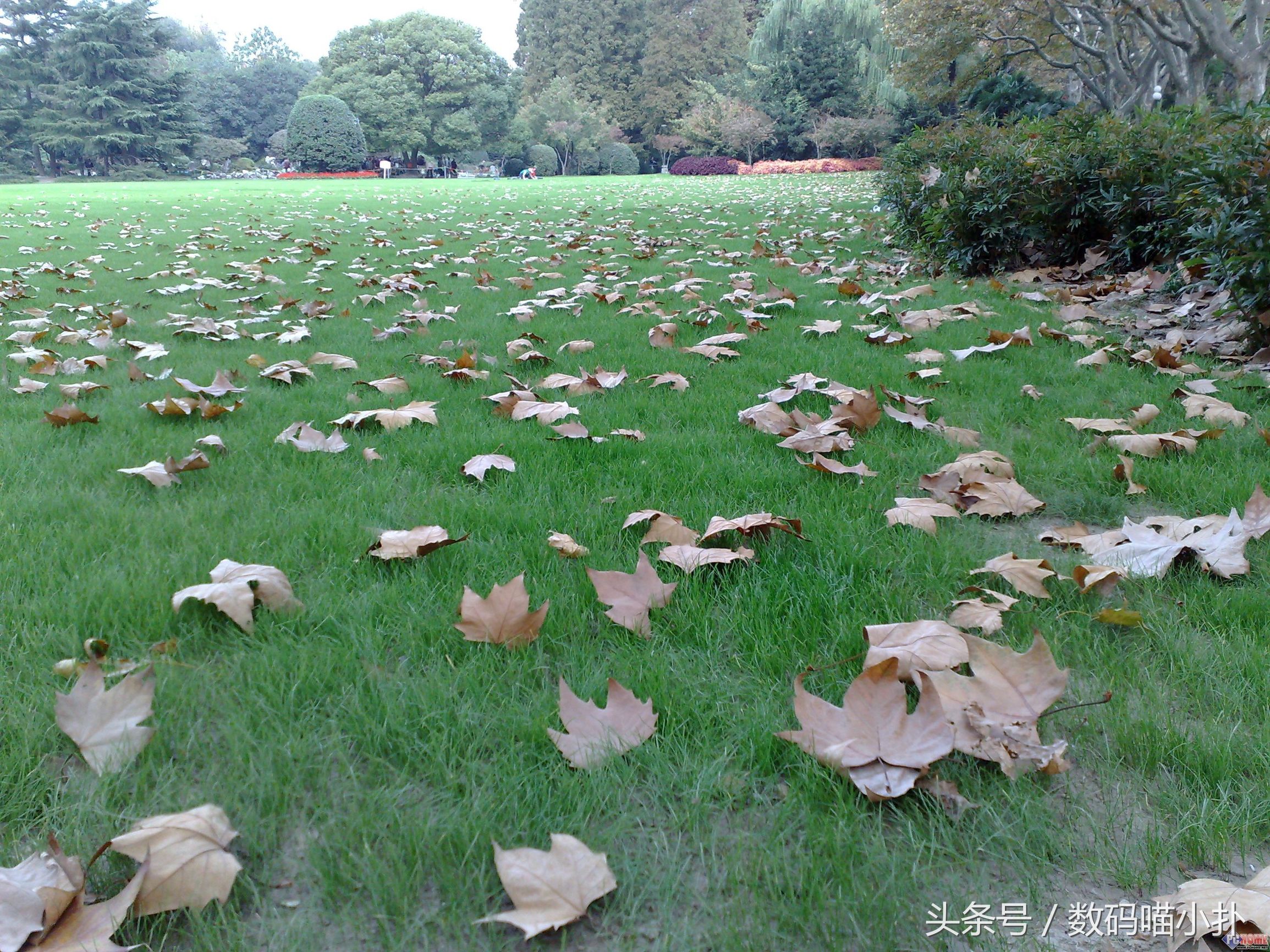 诺基亚n82真实图片,花两百买了诺基亚n8