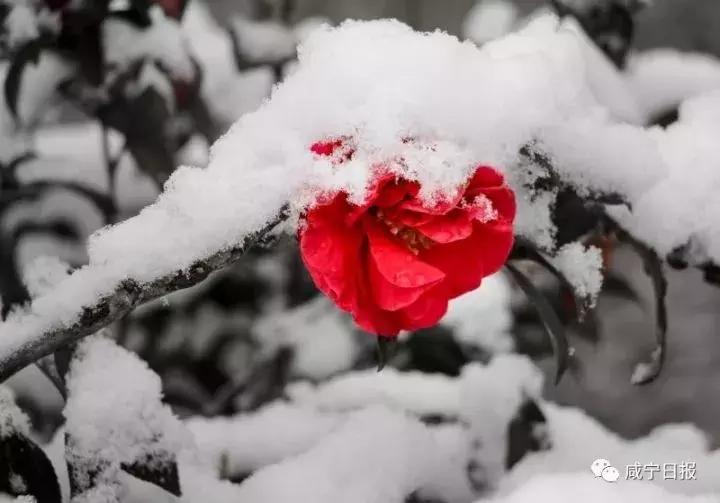 咸宁崇阳十大景点,湖北咸宁崇阳有什么风景