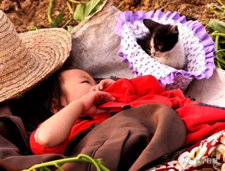 咸宁崇阳十大景点,湖北咸宁崇阳有什么风景