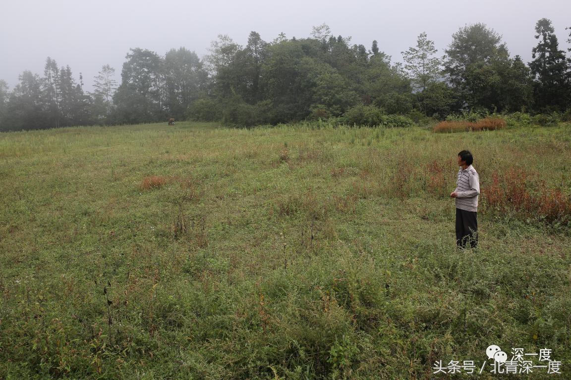 「看见」泥坑里的“鹿晗”和吃土豆的孩子：80张图，读懂中国脱贫