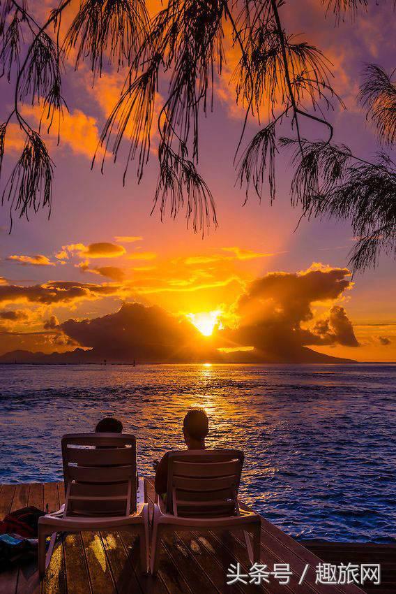 高更最后的大溪地,高更经历